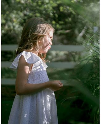 Toddler Girls Flutter Sleeve Eyelet Dress