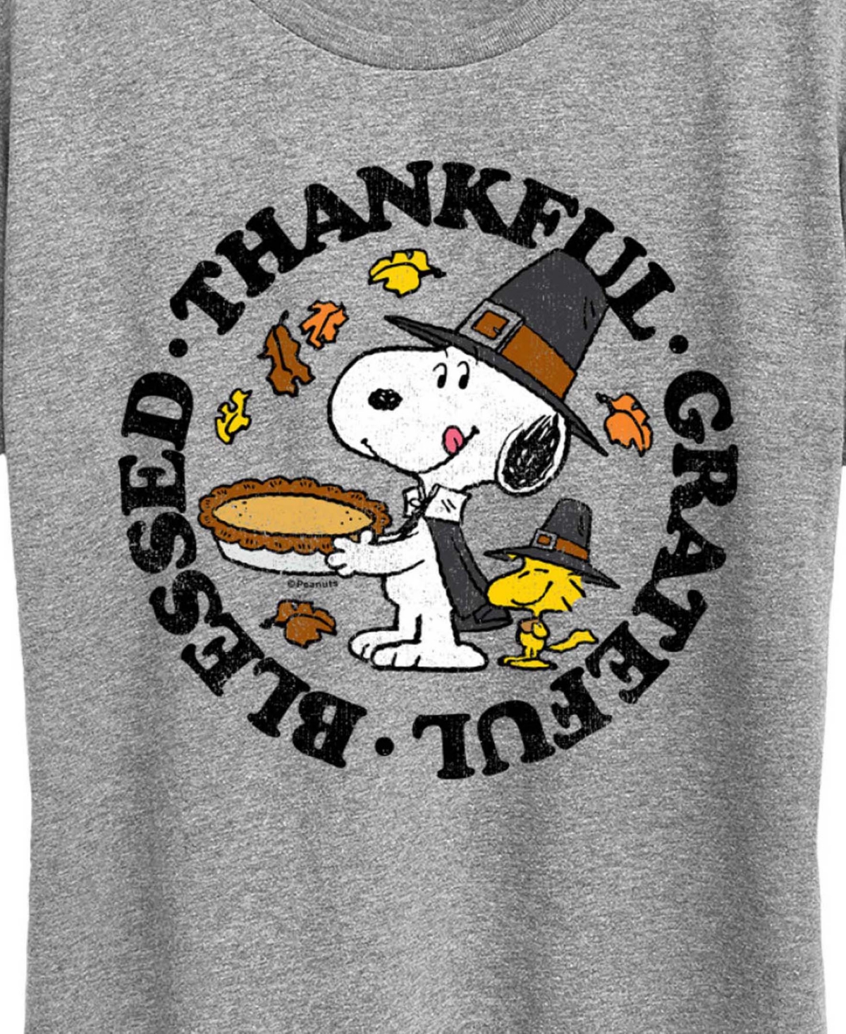 Hybrid Apparel Thanksgiving Snoopy And Woodstock Blessed Women's Short Sleeve Graphic T-shirts In Gray