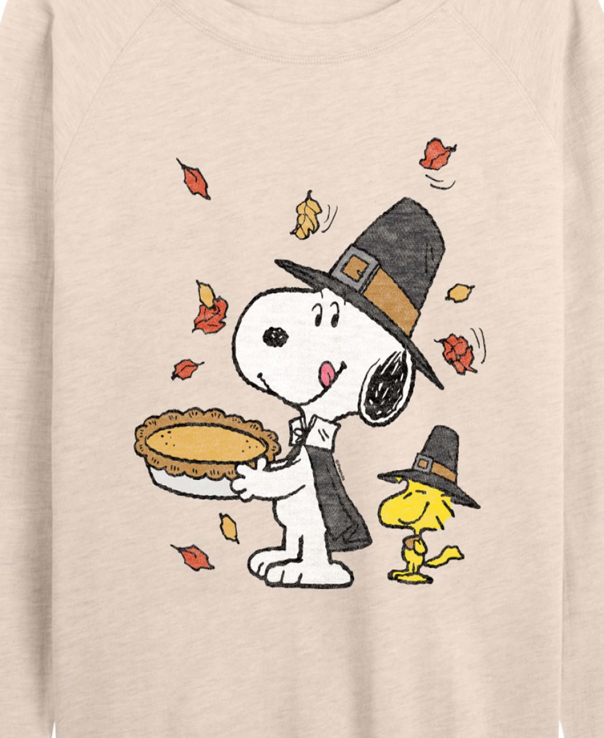 Hybrid Apparel Thanksgiving Pie Snoopy And Woodstock Women's French Terry Long Sleeve Shirt In White