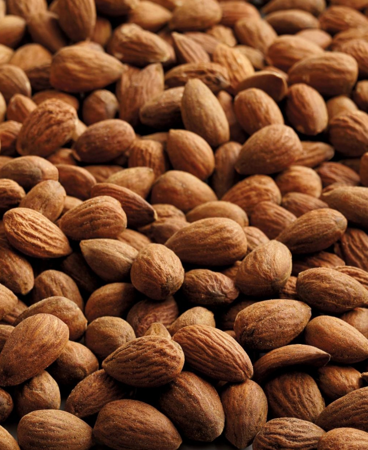 Harry & David Holiday Mixed Nuts Crate