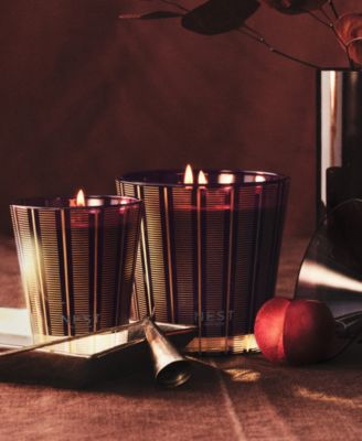 Plum and Cinnamon Fragrance Classic Candle, 8.1 oz.