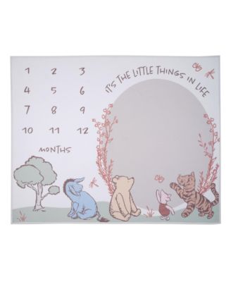 Baby Disney Pooh Bear and Pals Photo Opp Milestone Fleece Blanket