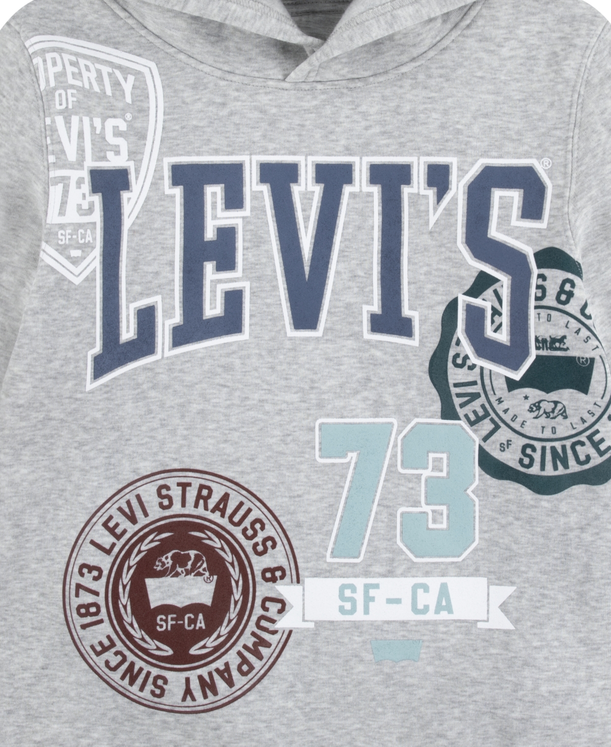 Levi's Boys 8-20 Prep Crest Pullover Hoodie