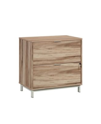 Storage File Cabinet with 2 Drawers