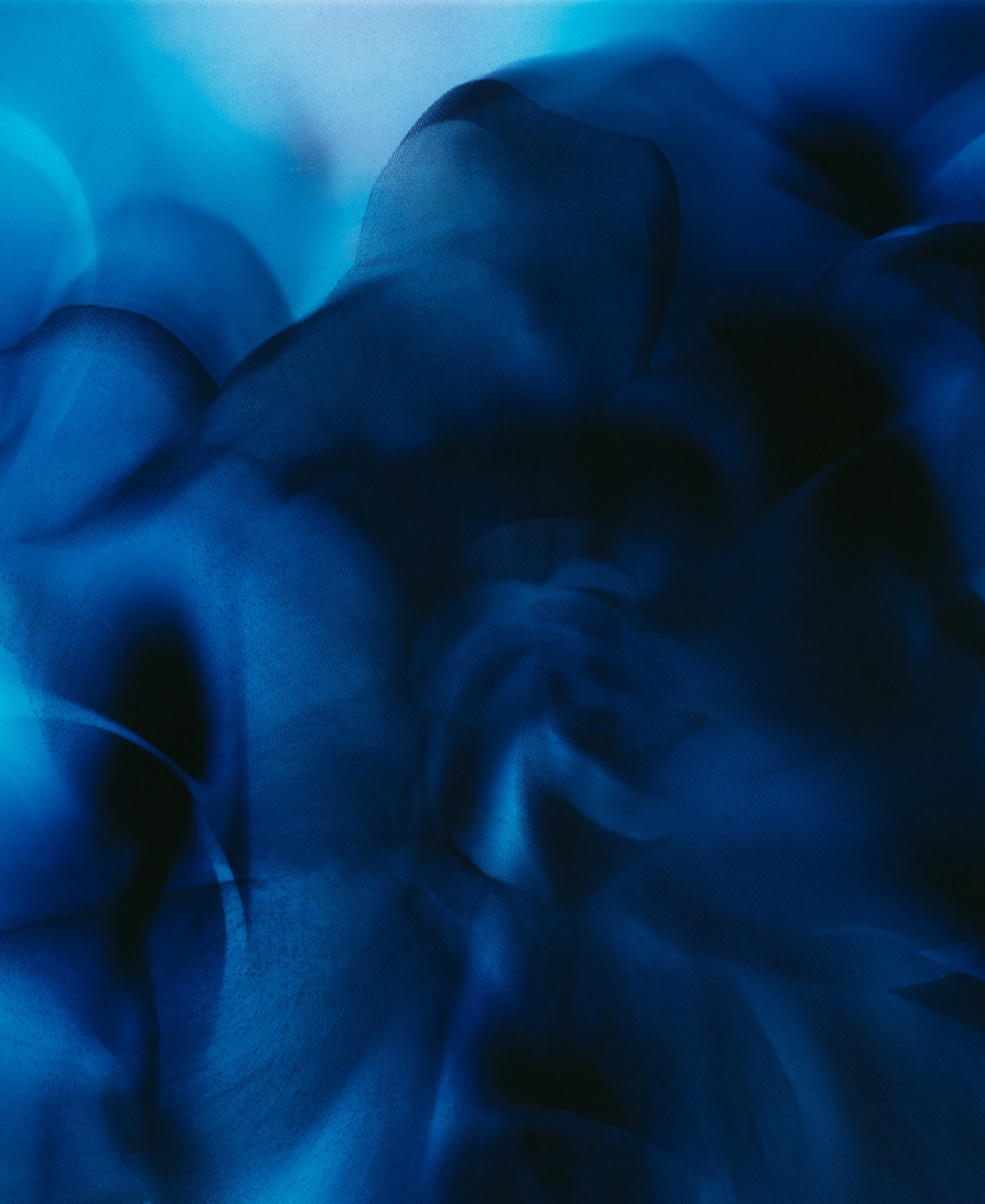 Byredo Casablanca Lily Extrait De Parfum, 2.4 oz.