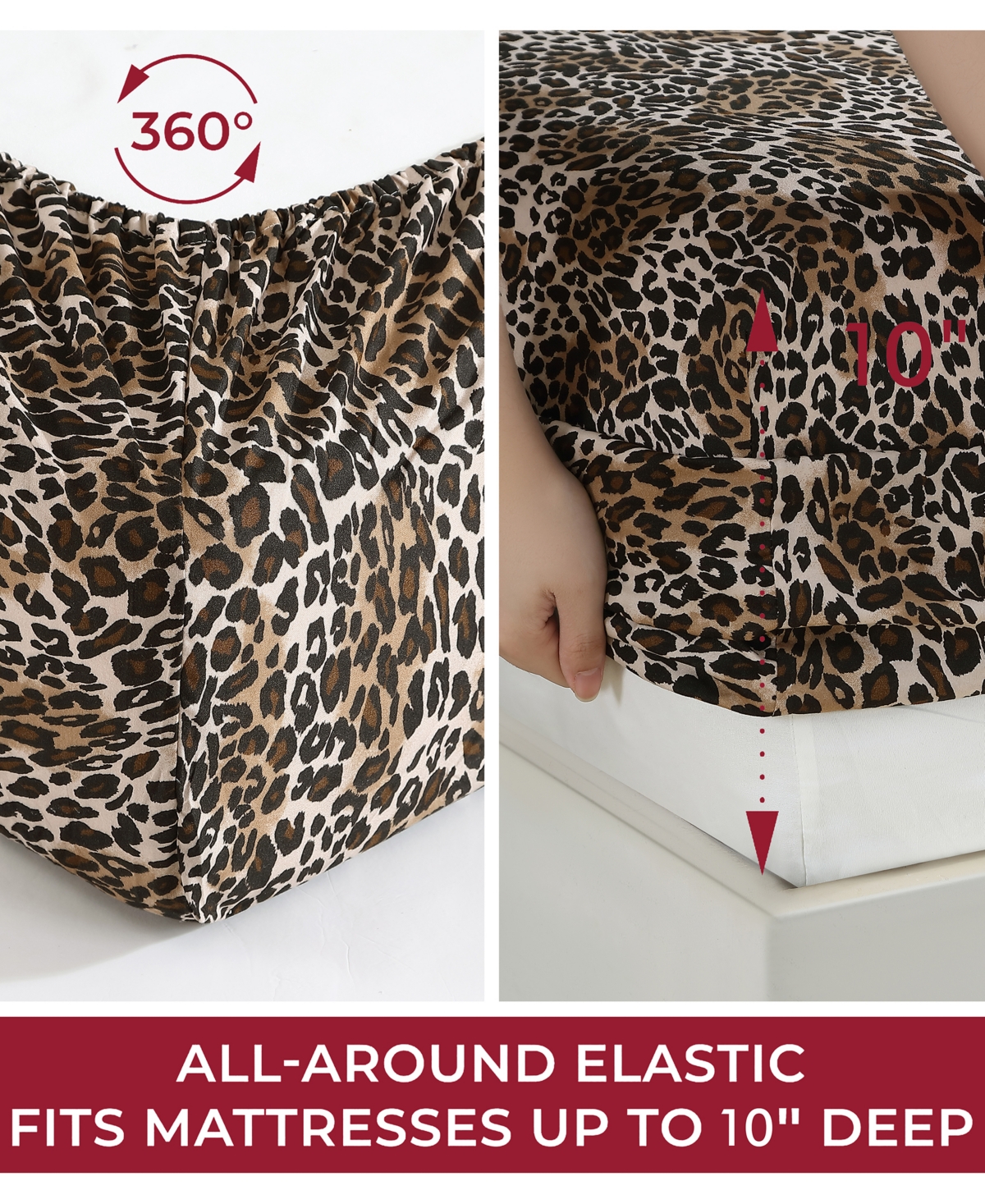 Beatrice Home Fashions Whimsical Printed Microfiber 3-pc. Sheet Set, Twin In Brown