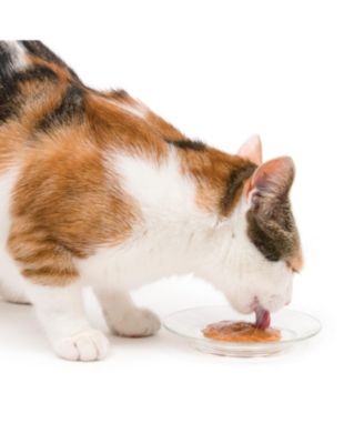 Creamy Lickable Treat, Multipack, 50x15g Mega Pack