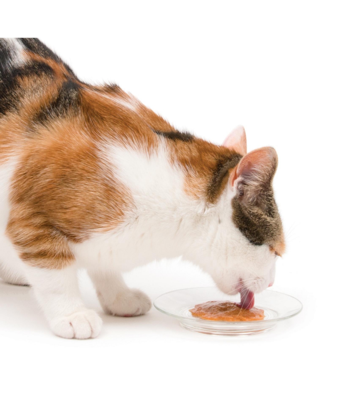 Catit Creamy Lickable Treat, Multipack, 50x15g Mega Pack