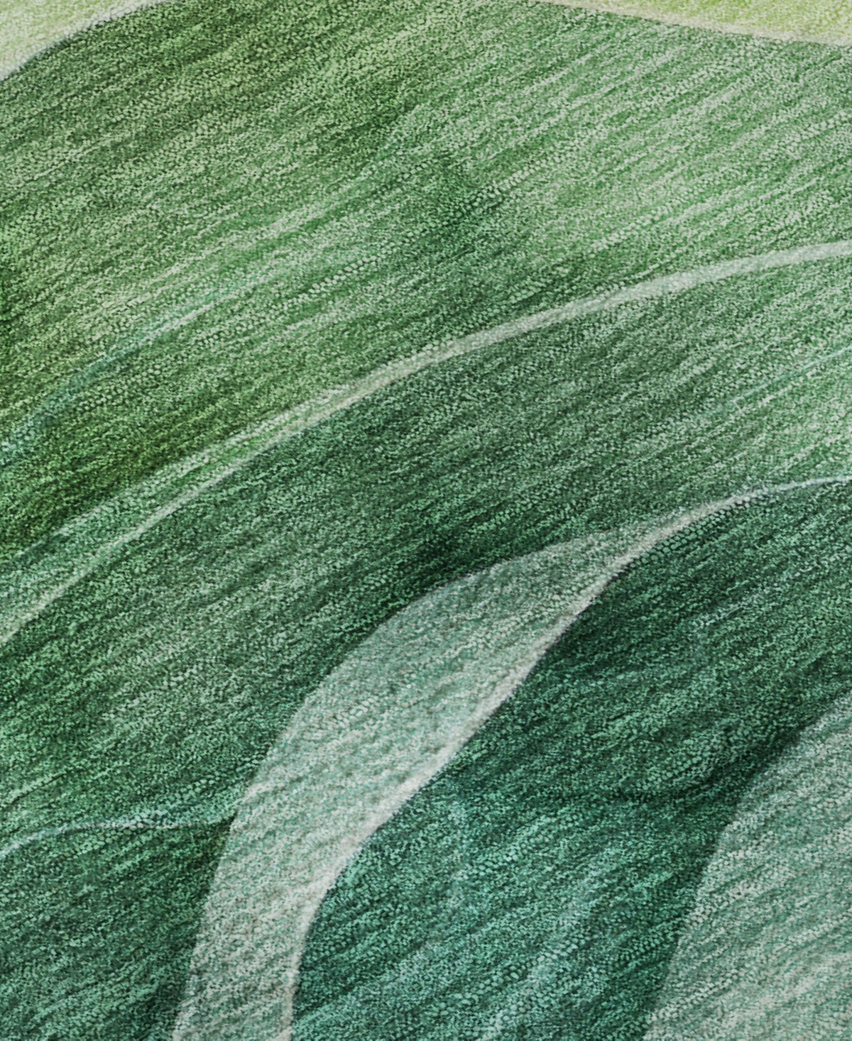 Dalyn Pacifica PA4 10'x14' Area Rug