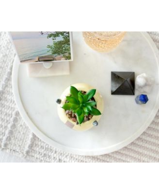 Avatar: The Last Airbender Appa 6-Inch Ceramic Planter With Artificial Succulent