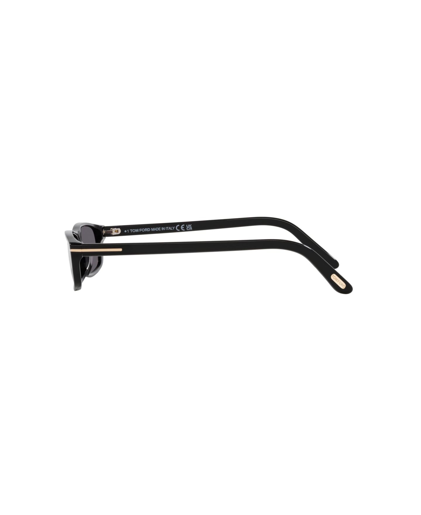 Солнцезащитные очки Tom Ford Unisex Sunglasses, Alejandro TR001673, цвет: Чёрный / Серый — фото 3