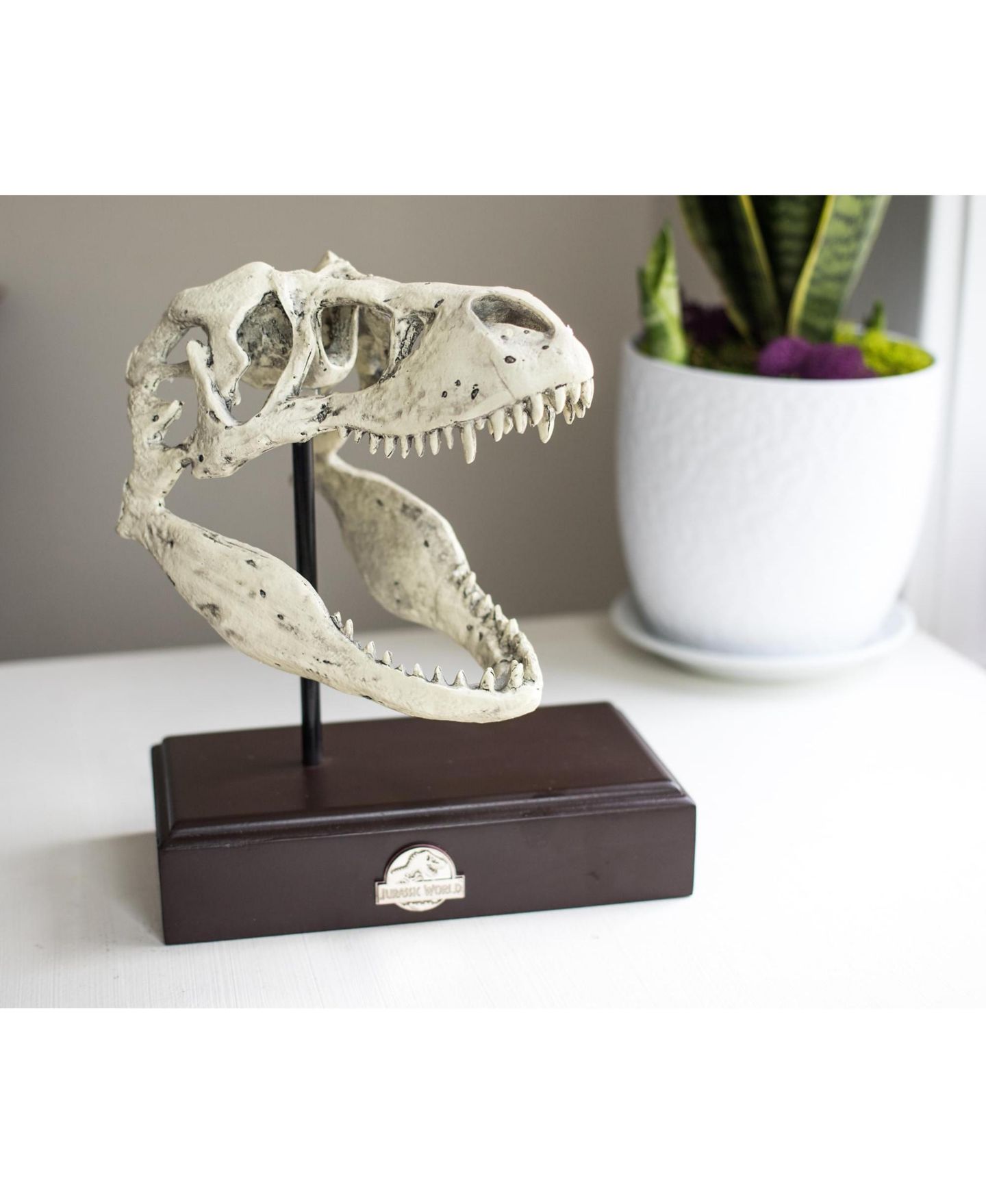 Детские фигурки Surreal Entertainment Jurassic World Tyrannosaurus Rex 9" Skull Replica, цвет: Коричневый — фото 5