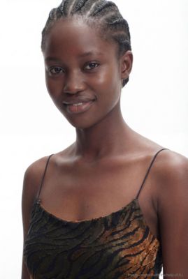 Women's 2-in-1 dress with animal print