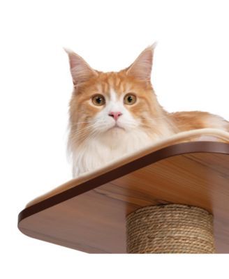 Vesper High Base Giant, Walnut