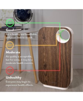 OVAL AIR Custom Face Cover Air Purifier