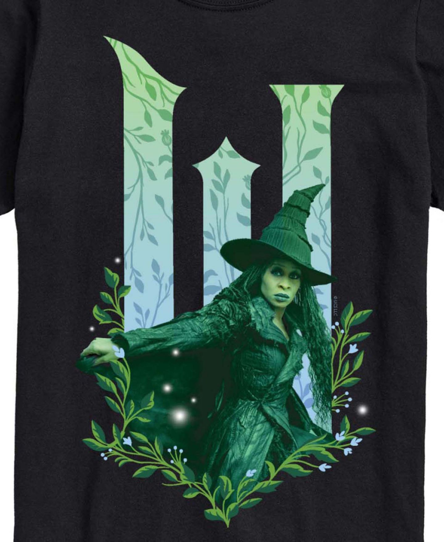 Мужская футболка AIRWAVES Wicked Part 2 Elphie No Good Deed Graphic Printed Short-Sleeve, цвет: Чёрный — фото 3