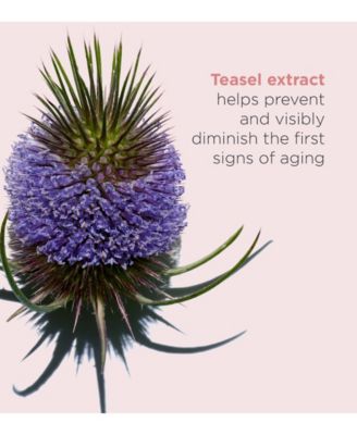 Total Eye Revive Eye Cream, Smoothes Fine Lines 0.5 oz.