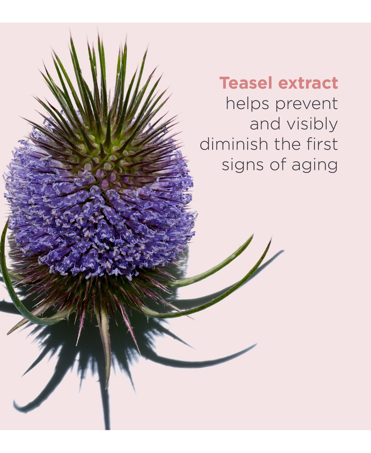 Clarins Total Eye Revive In Transparent