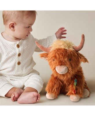 Baby Rodeo Pack Teething & Feeding