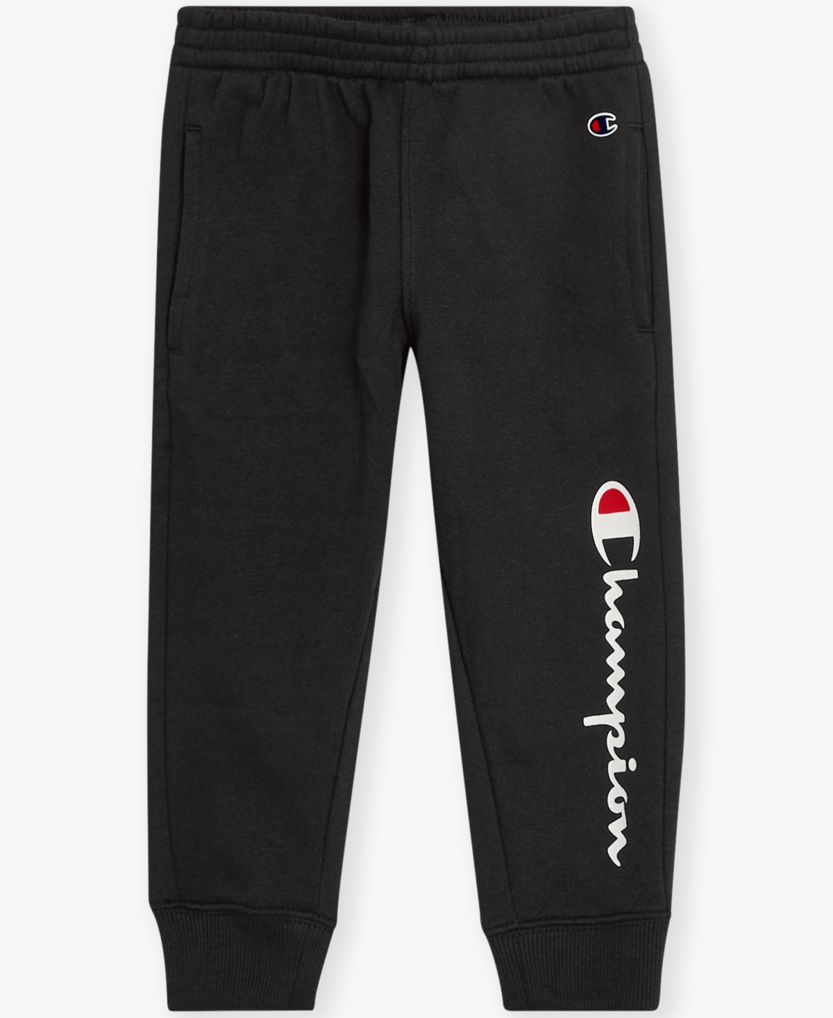 Champion Boys Toddler 2T-4T Long-Sleeve Hoodie and Pants, 2-Piece Set