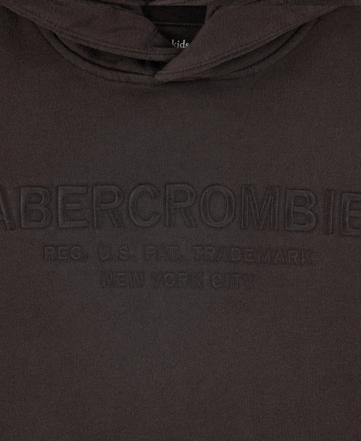 abercrombie kids Boys 5-18 Vintage Fleece Crewneck Hoodie