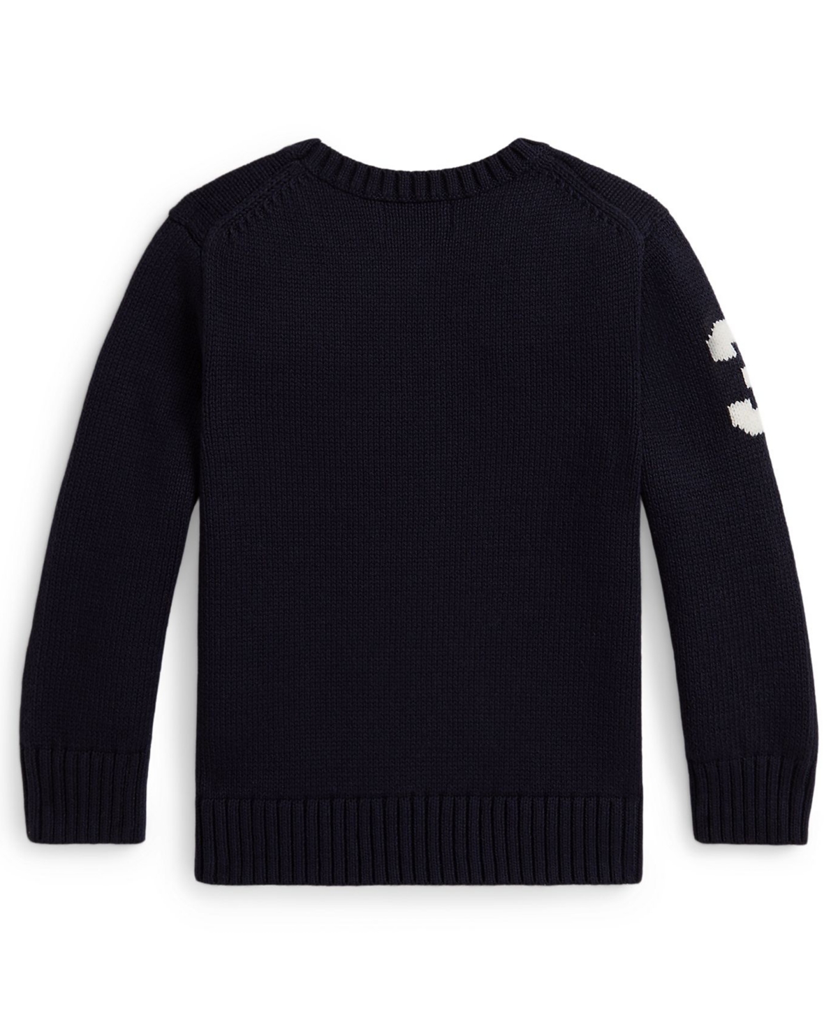 Polo Ralph Lauren Boys 2T-7 Bear Crewneck Sweater