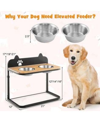 Dog Bowl Stand With 2 Stainless Steel Food Water Bowls