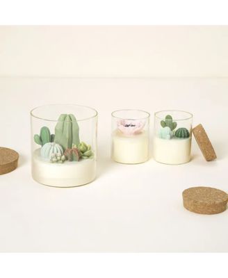 Cactus Terrarium Scented Candle, 14.5 oz