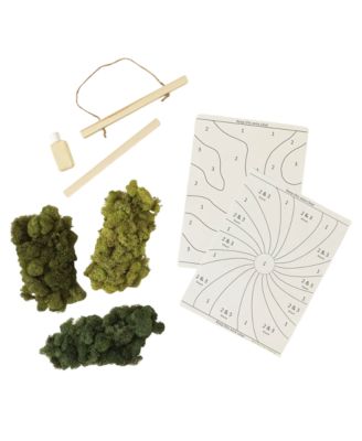 Moss Art by Numbers Kit