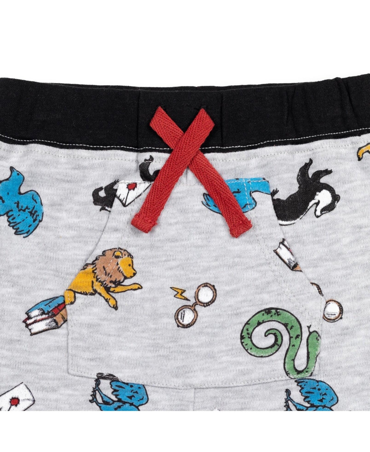 Harry Potter Gryffindor Hufflepuff Raven claw Slytherin Baby 2 Pack Pants Newborn to Infant