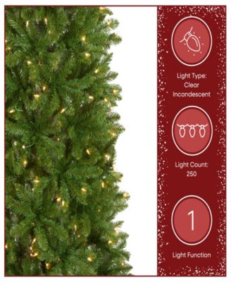 National Tree Company National Tree 6.5' Kingswood Fir Hinged Pencil Tree with 250 Clear Lights