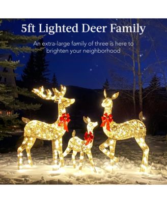 3-Piece Lighted Christmas Deer Set Outdoor Yard Decoration with 360 LED Lights, Stakes