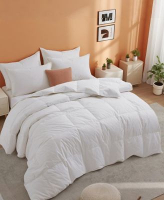 300TC Cotton Medium Warmth Goose Feather Fiber Comforter, King