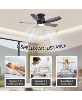 42-inch Modern Black 5-Blade Ceiling Fan With 6-Speed Adjustable Wind Speed and Light Kit