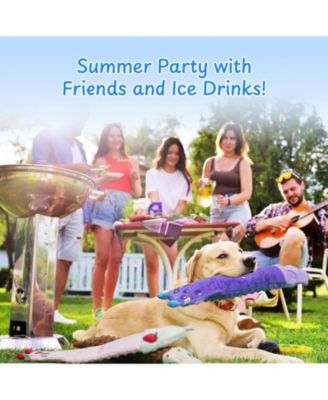 3-Pack Summer Drink Dog Toys – squeaky, crinkle, durable tug fun for all dogs!”