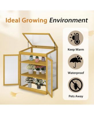 Wooden Cold Frame Greenhouse