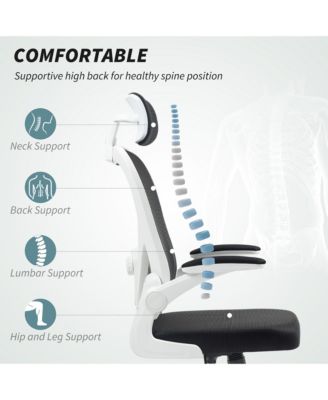 Ergonomic Office Chair, Mesh Desk Chair with Lumbar Support,