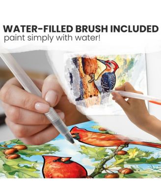 Water Painting Dementia Activities for Seniors – Songbird Serenity – Alzheimers Products