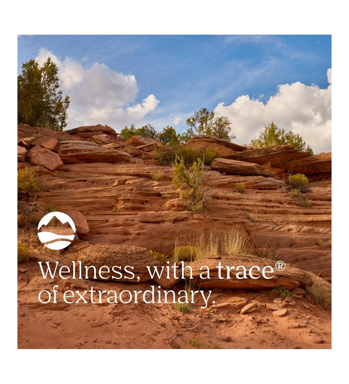 Trace Minerals Magnesium Glycinate Capsules | 120 mg Supports Normal Sleep, Calm Mood, and Maintains Normal Muscle, Liver, Bone & Nerve Function | 180