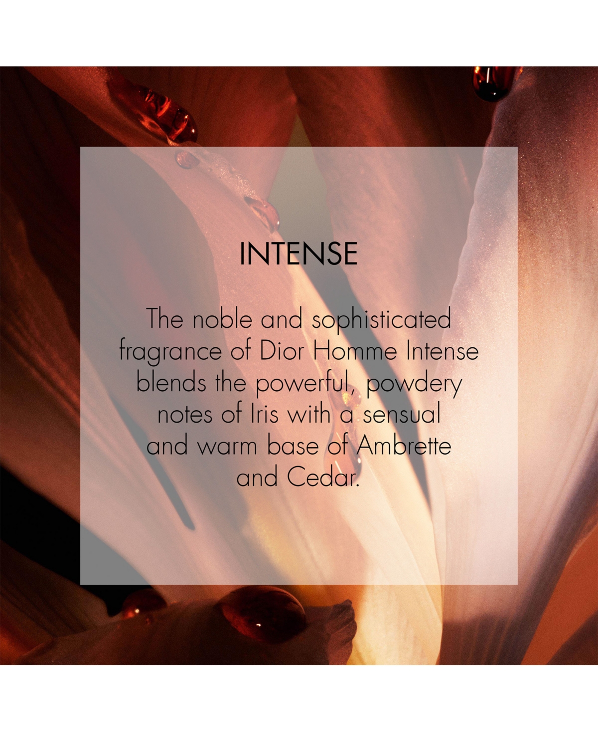 Dior Homme Intense Eau De Parfum, 1.7 oz.