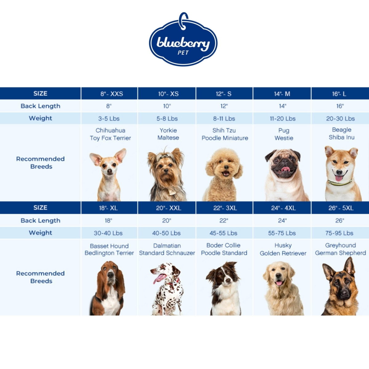 Blueberry Pet French Terry Knit English Rose Dog Sweatshirt and Hoodie