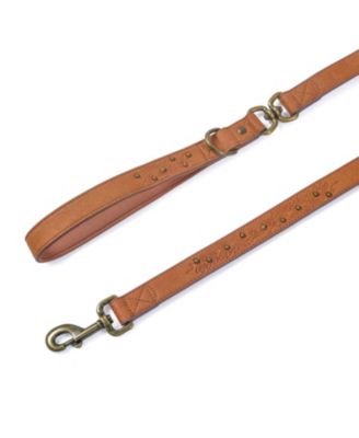 Silver-Powered Freshness Microfiber Suede Dog Collar – Embossed Classic Pattern with Bronze Studs