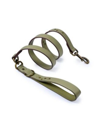 Silver-Powered Freshness Microfiber Suede Dog Collar – Embossed Classic Pattern with Bronze Studs