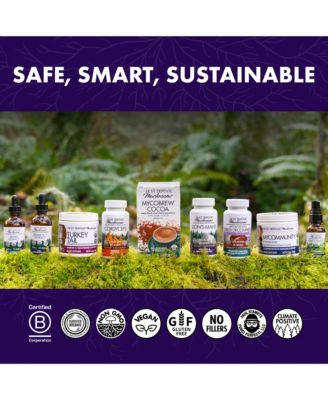 Lion's Mane Capsules, 240 ct (Pack of Two 120 ct Units)