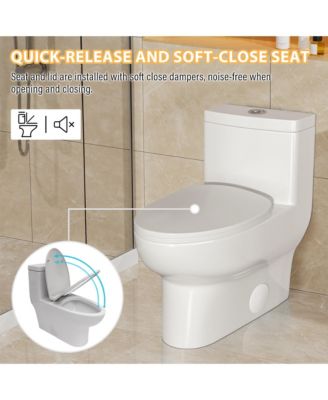 One-Piece Dual Flush 1.1/1.6 GPF Elongated Bathroom Fixture Comfort Seat Height,Soft-Close Seat,Glazed Surface