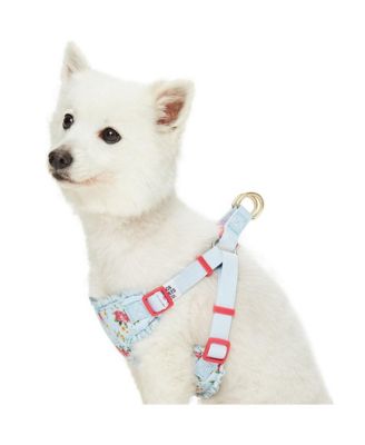 Spring Floral Dog Harness with Chest Protection Panel