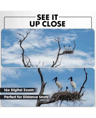 Minolta MND55 64 MP AF 4K Ultra HD Digital Camera with WiFi, Purple