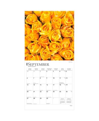 Roses | 2026 12 x 24 Inch (Hanging) Monthly Square Wall Calendar | Plastic-Free