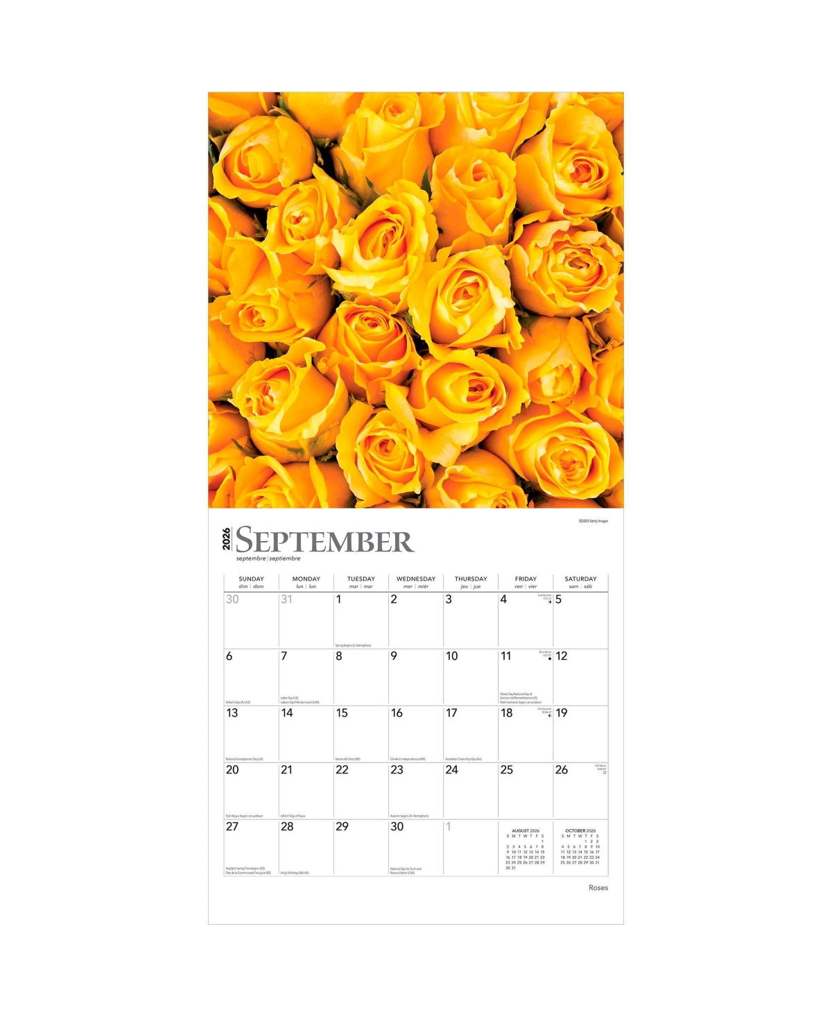 Roses | 2026 12 x 24 Inch (Hanging) Monthly Square Wall Calendar | Plastic-Free