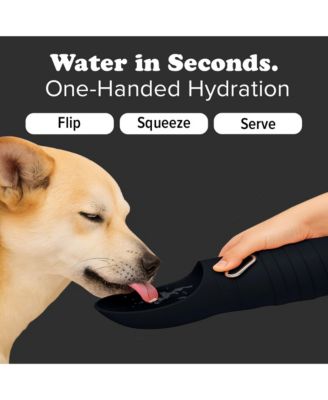 Collapsible Dog Water Bottle